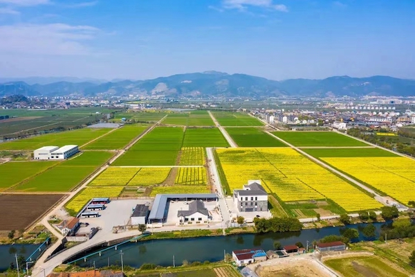 高標準農田典型案例集錦丨“豐景”，在希望的田野