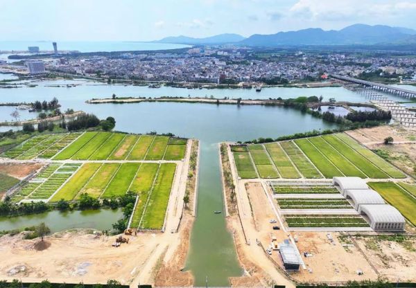 為鹽堿地安上“技術芯片”，托普云農打造耐鹽堿水稻科研試驗基地建設解決方案